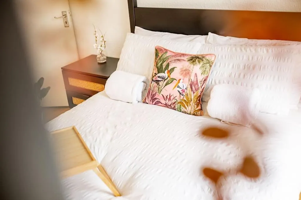 Home For Your Belfast Escape!